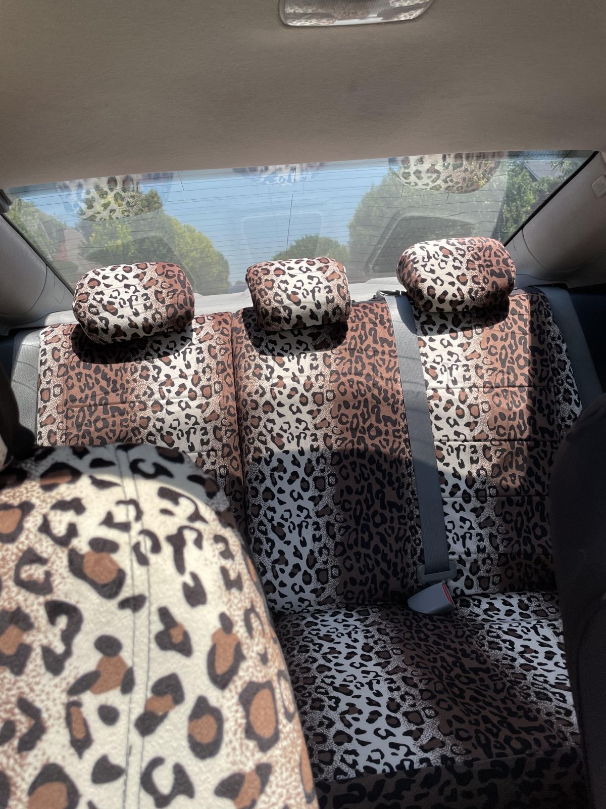 Labradoodle Car Seat Covers (Set of 2) - Tan Labradoodle Car Seat Covers (Set of 2) - Tan