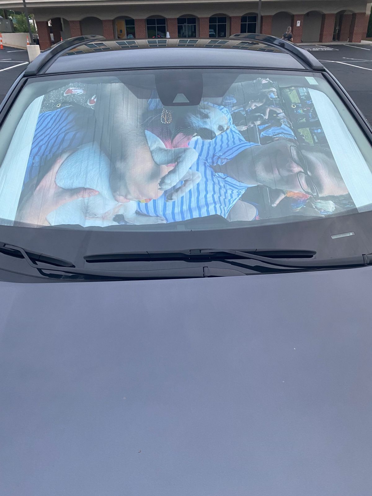 Custom Personalized Car Sun Shade | Window Shield with Logo, Text or Photo!